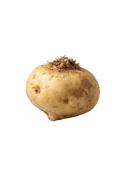 BLACK MACA (10:1)