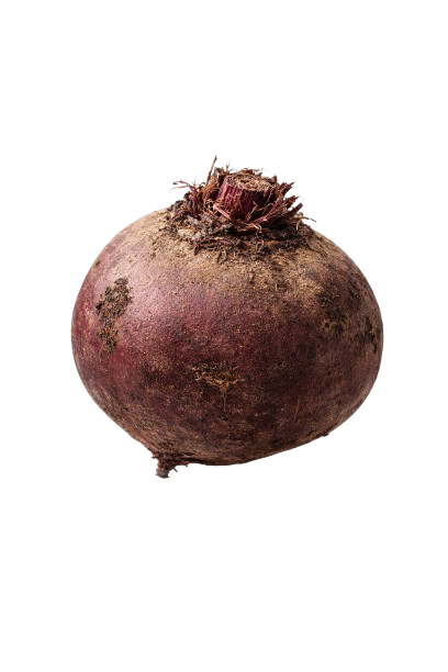 BEETROOT